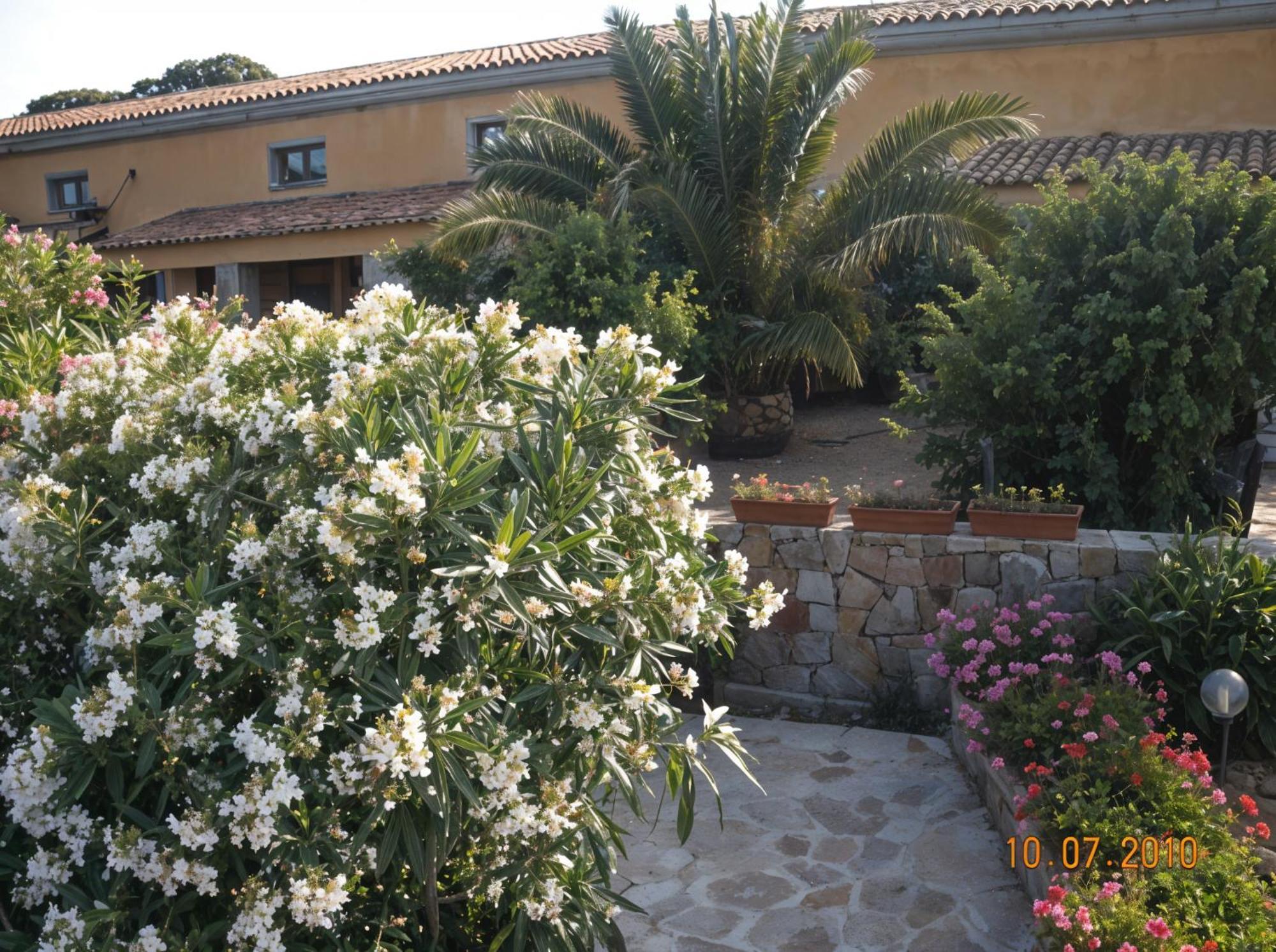 Agriturismo Lu Colbu Trinità dʼAgultu 외부 사진